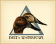Delta Waterfowl